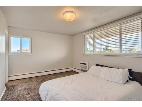 1029 E 8th Ave #601, Denver, CO 80218 photo 13