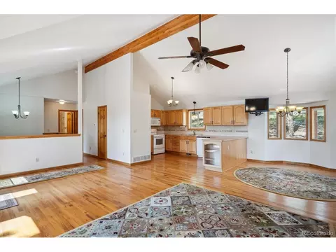 84 Sunny Ridge Ln, Bailey, CO 80421 photo 7