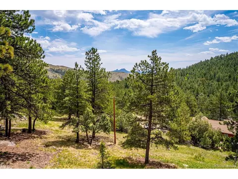 84 Sunny Ridge Ln, Bailey, CO 80421 photo 23
