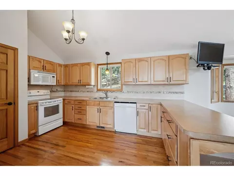 84 Sunny Ridge Ln, Bailey, CO 80421 photo 8
