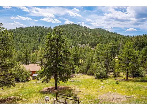 84 Sunny Ridge Ln, Bailey, CO 80421 photo 24