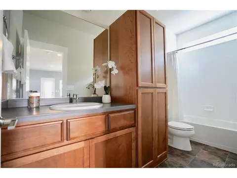 8705 E 55th Ave, Denver, CO 80238 photo 15