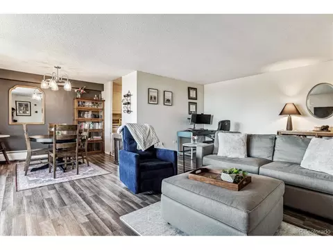 909 N Lafayette St #603, Denver, CO 80218