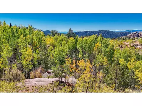 288 Wildhorse Rd, Cripple Creek, CO 80813