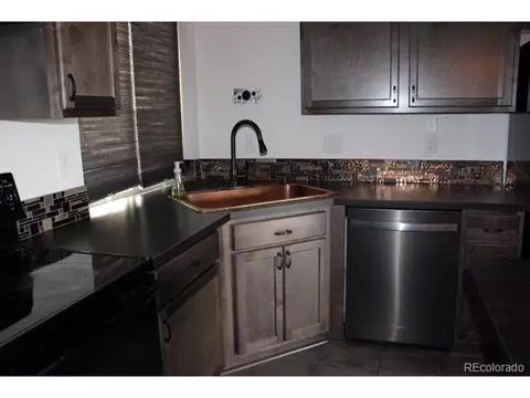 20002 E 48th Pl, Denver, CO 80249 photo 4