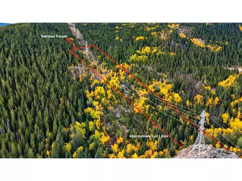 Ute Creek Rd, Idaho Springs, CO 80452