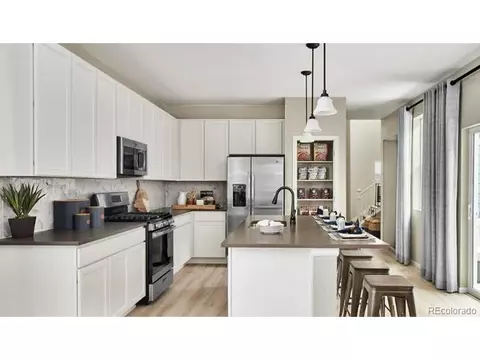 18739 E 66th Ave, Denver, CO 80249 photo 8