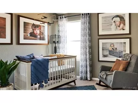 18739 E 66th Ave, Denver, CO 80249 photo 17