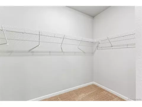 955 Cascade Falls St, Severance, CO 80550 photo 13