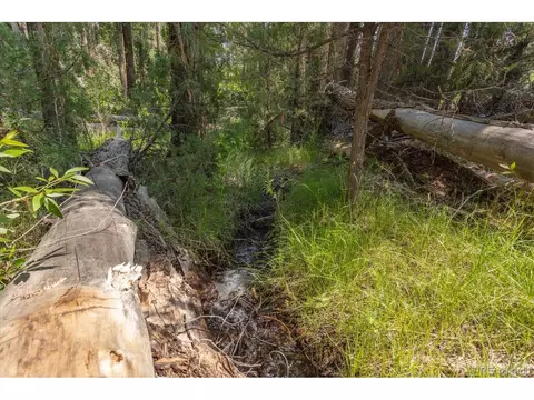 7922 Cozart Ln, Salida, CO 81201