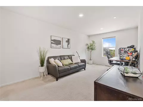 5169 Clinton St, Denver, CO 80238 photo 21