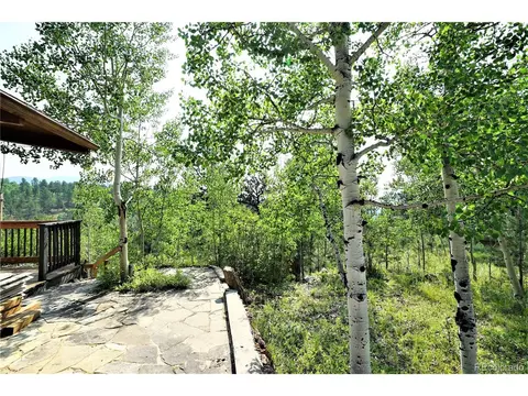 120 Lanier St, Bailey, CO 80421 photo 17