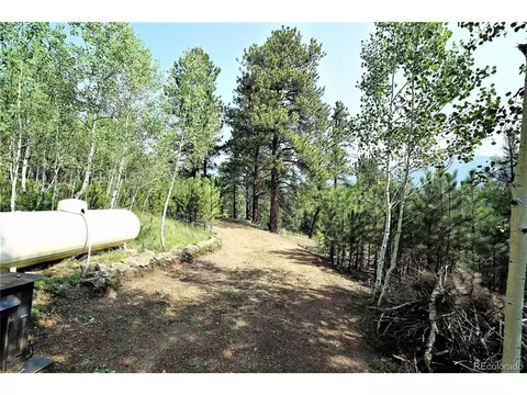 120 Lanier St, Bailey, CO 80421 photo 19