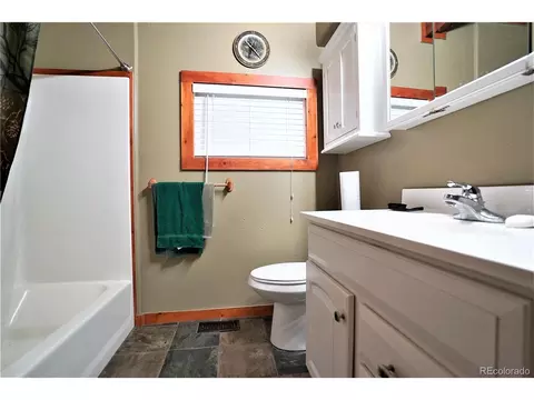 120 Lanier St, Bailey, CO 80421 photo 11