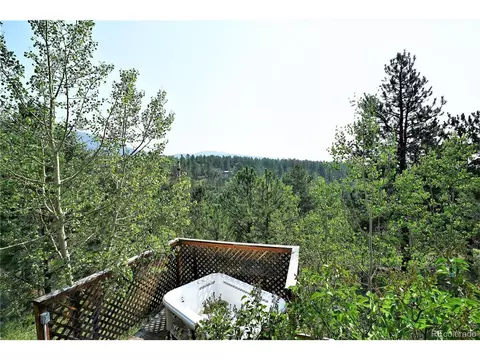 120 Lanier St, Bailey, CO 80421 photo 18