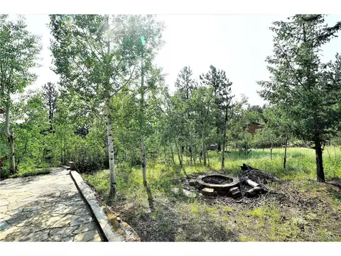 120 Lanier St, Bailey, CO 80421 photo 20