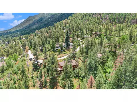 9980 Mohawk Trl, Cascade, CO 80809 photo 22