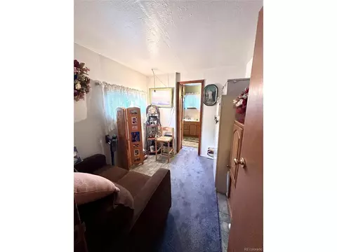 647 D St, Salida, CO 81201 photo 17