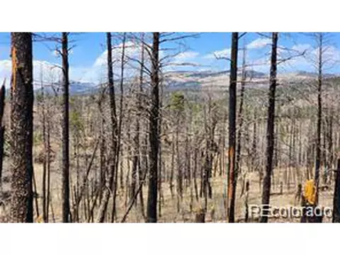 651 Emery Loop, Fort Garland, CO 81133