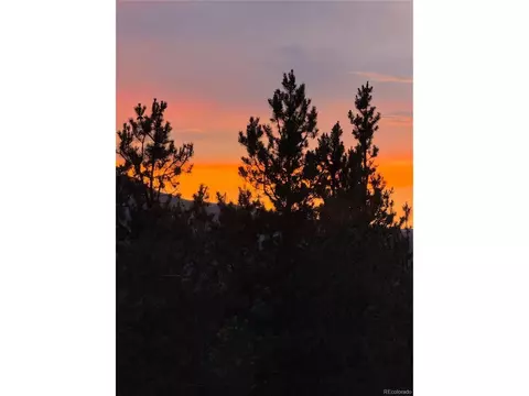 446 Mt Massive Dr, Twin Lakes, CO 81251