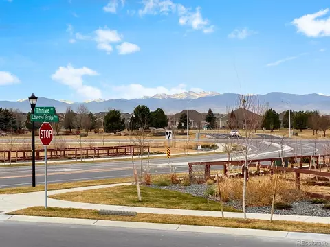1715 Thrive Dr, Windsor, CO 80550 photo 4