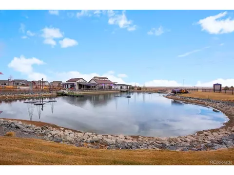 1715 Thrive Dr, Windsor, CO 80550 photo 33
