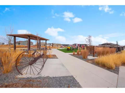 1715 Thrive Dr, Windsor, CO 80550 photo 36