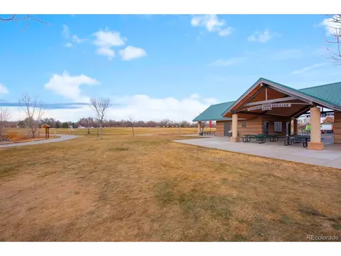 1715 Thrive Dr, Windsor, CO 80550 photo 39