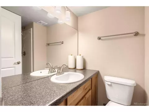 1715 Thrive Dr, Windsor, CO 80550 photo 24