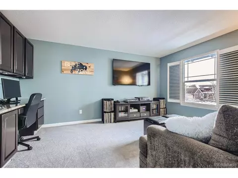 8484 Braun Loop, Arvada, CO 80005 photo 21