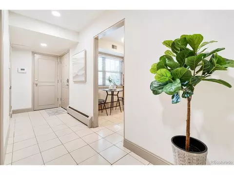 3544 S Ivanhoe St, Denver, CO 80237 photo 26