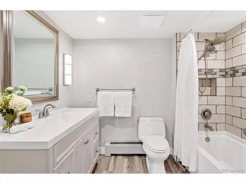 3544 S Ivanhoe St, Denver, CO 80237 photo 21