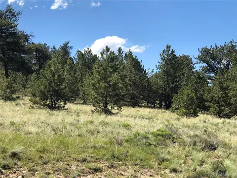 3467 Goldenberg Canyon Rd, Hartsel, CO 80449