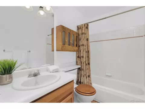 513 Wisp Creek Dr, Bailey, CO 80421 photo 11