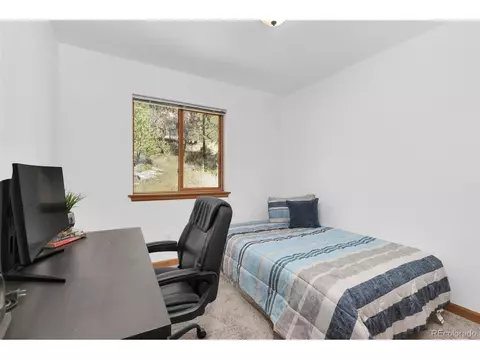 513 Wisp Creek Dr, Bailey, CO 80421 photo 10