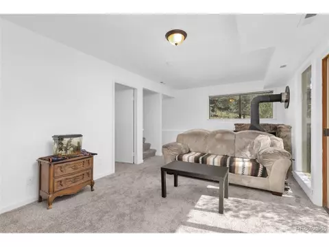 513 Wisp Creek Dr, Bailey, CO 80421 photo 15