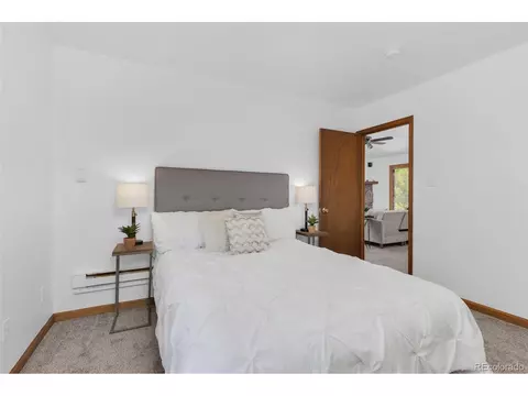 513 Wisp Creek Dr, Bailey, CO 80421 photo 9