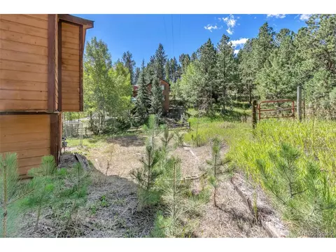 513 Wisp Creek Dr, Bailey, CO 80421 photo 24