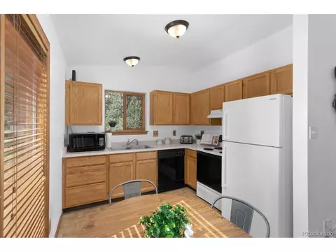 513 Wisp Creek Dr, Bailey, CO 80421 photo 7