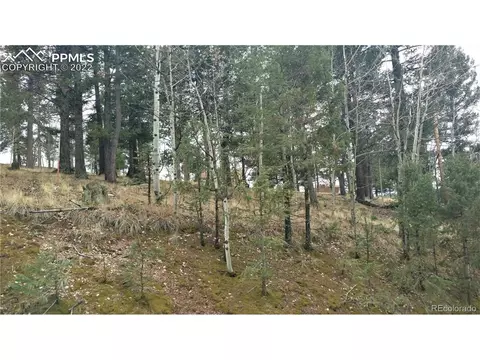 910 Will Scarlet Dr, Divide, CO 80814 photo 2