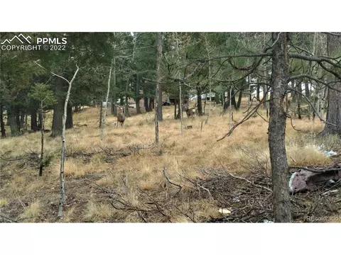 910 Will Scarlet Dr, Divide, CO 80814 photo 6
