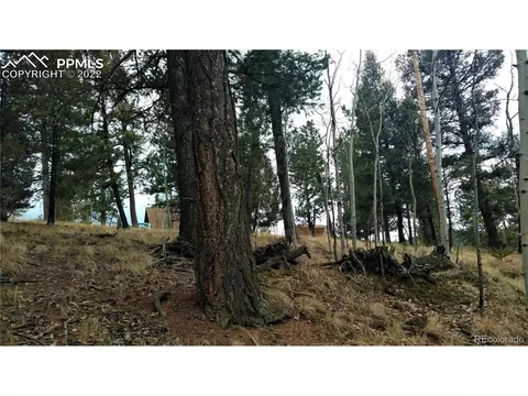 910 Will Scarlet Dr, Divide, CO 80814 photo 3