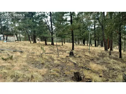 910 Will Scarlet Dr, Divide, CO 80814
