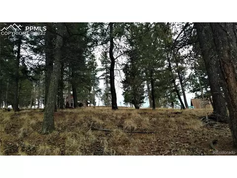 910 Will Scarlet Dr, Divide, CO 80814 photo 4