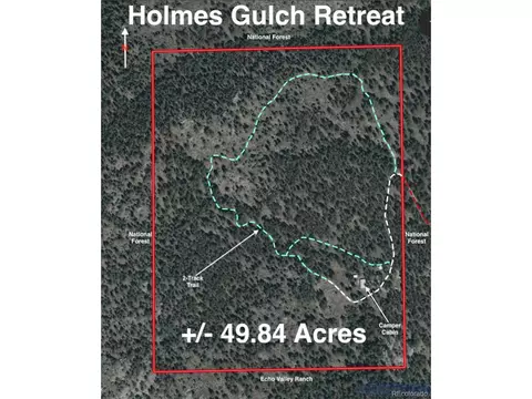 1667 Co Road 835, Bailey, CO 80421