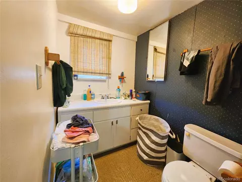 5 E Park Ave, Empire, CO 80438 photo 16