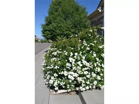 13932 E Whitaker Dr, Aurora, CO 80015 photo 24