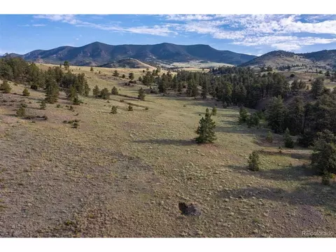 0 Big Buck Rd, Guffey, CO 80820