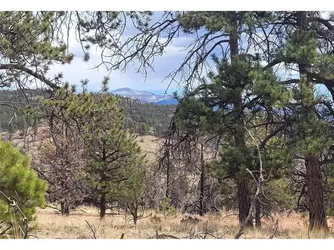 469 Chateau Vista Dr, Florissant, CO 80816