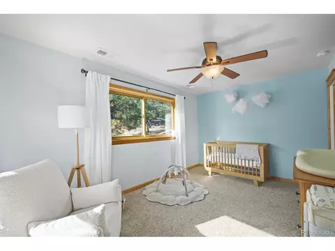 Bedroom - 3665 Colard Ln, Lyons, CO 80540 photo 4 of 6